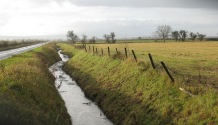 Nov 2010 Ebberston ditch